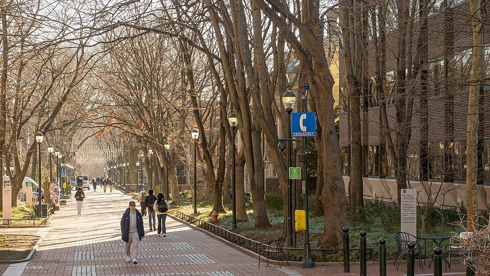 나무가 늘어선 유펜 로커스트 워크를 걷는 사람들